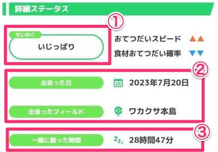 詳細ステータス