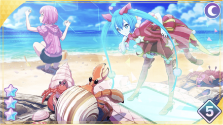 おっきな貝殻、どこかな？