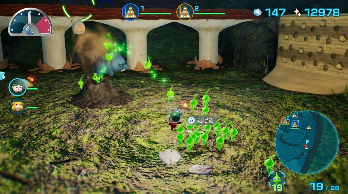 ベビーチャッピーの巣穴を壊す