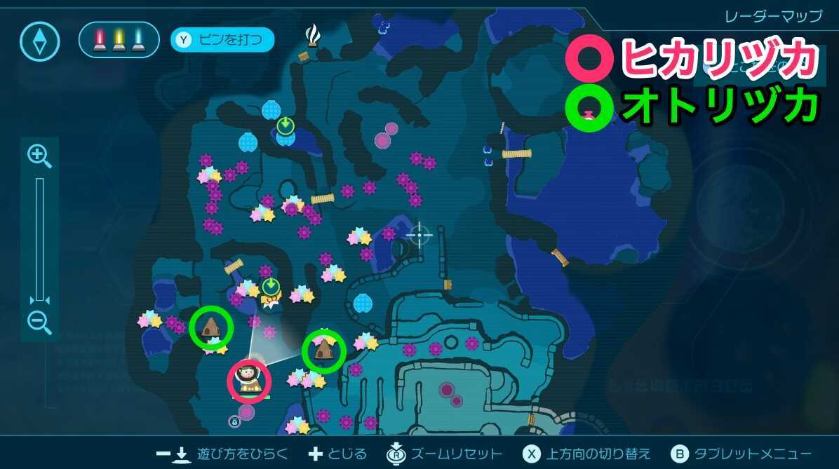 ラッパ花砂漠マップ