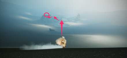 忘れられた方舟