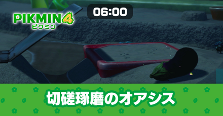 切磋琢磨のオアシス