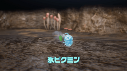 氷ピクミンと仲間になれる