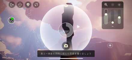 鳥と一本岩を同時に捉えた写真