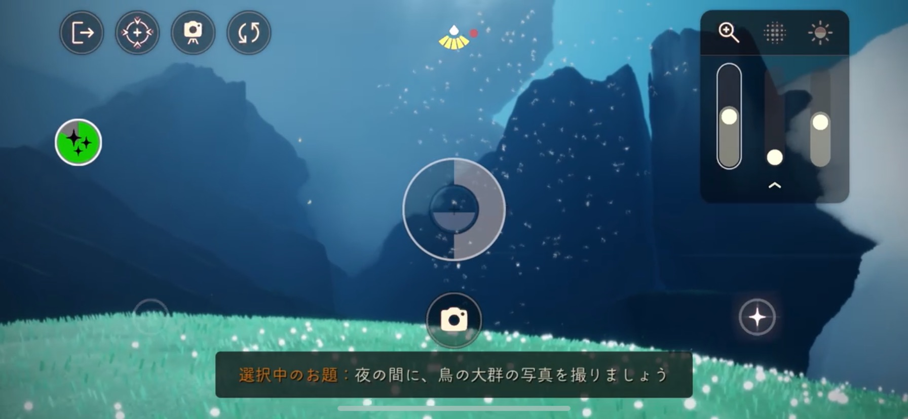 夜の間に、鳥の大群の写真を撮る