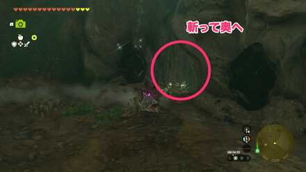 西側の入口から入る