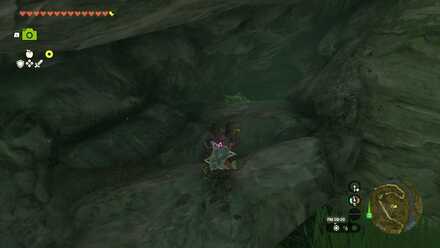 タバール森林の洞窟のマヨイへの道のり