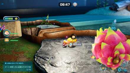 オッチンに指示