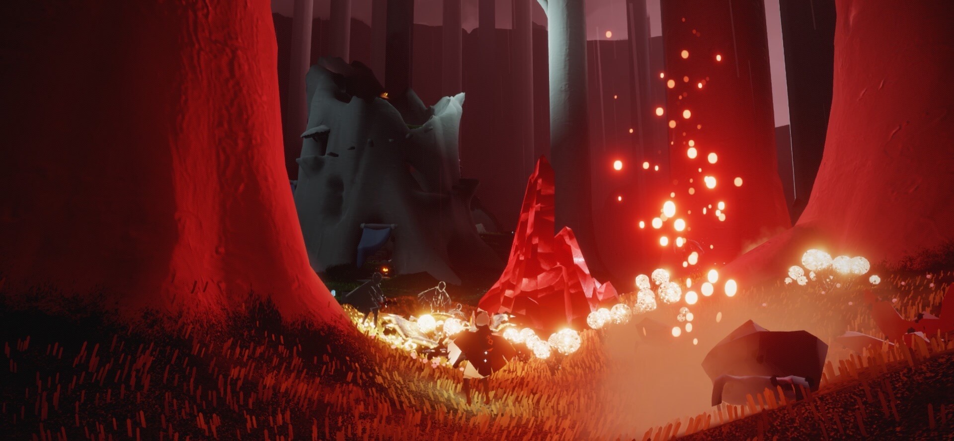 ツリーハウスの目の前に発見