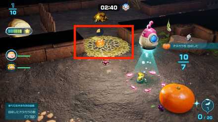 除去したいネバリカビ