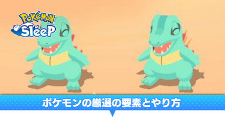 ポケモンの厳選の要素とやり方