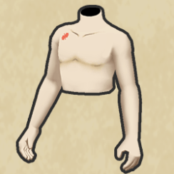 ちょうちょのあざ