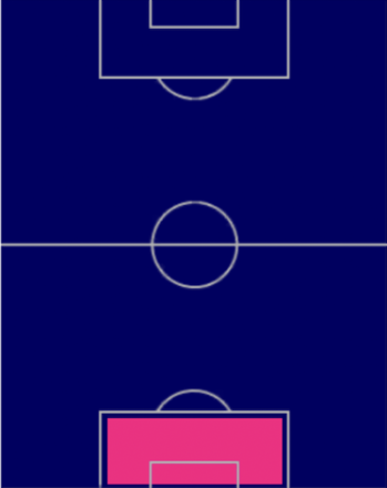 HPドミニク・リヴァコヴィッチ(07/31)の適性ポジション