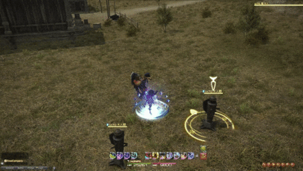 イグジュビエーションの画像