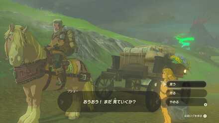 行商人ブショー