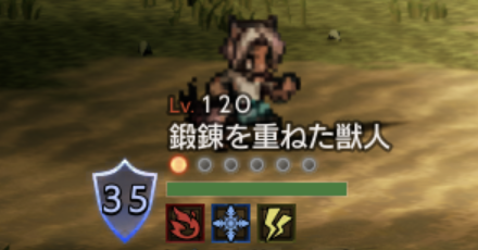 鍛錬を重ねた獣人