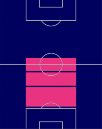 EPフランク・ライカールト(オランダ代表)の画像