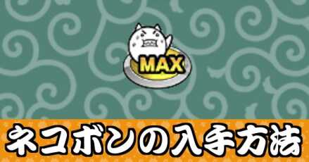 ネコボンバナー