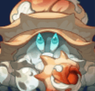 堅盾重甲ヤドカニ画像