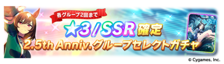 グループセレクトガチャ
