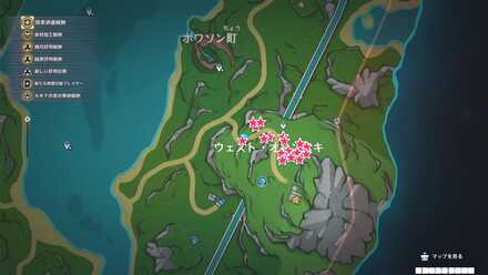 コウハクジュ材