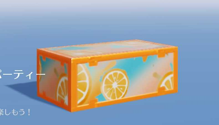サマー物資箱.png