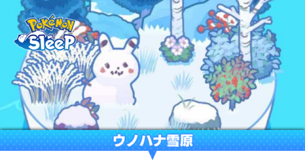 ウノハナ雪原