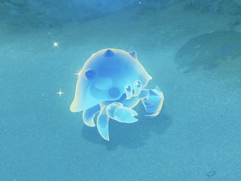 重甲ヤドカニ亜種