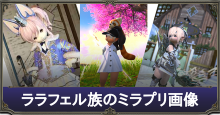 ララフェルのミラプリ画像