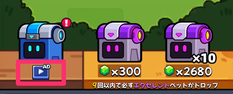 ノーマルペット宝箱