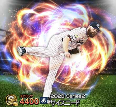 サイスニード画像