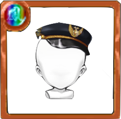 金鳳制帽子Ⅲの画像