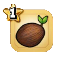 ストーンココナッツ