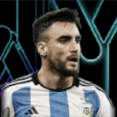 HPニコラスタグリアフィコ(メッシパック)画像