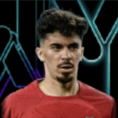 HPヴィティーニャ(メッシパック)画像