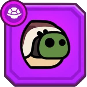 かめかめのアイコン