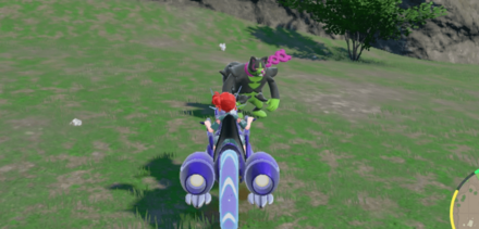 イイネイヌの実際の場所