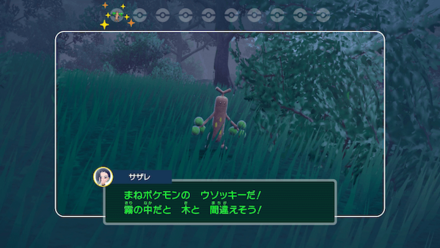 サザレの撮影依頼