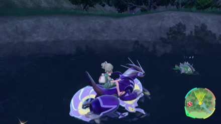 バスラオの出現場所