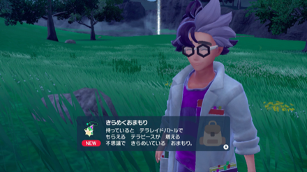 きらめくおまもりの効果