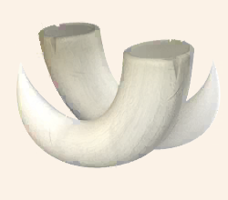 とがった爪画像