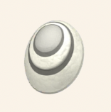 浮空竜の鱗画像