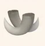 痺賊竜の牙画像