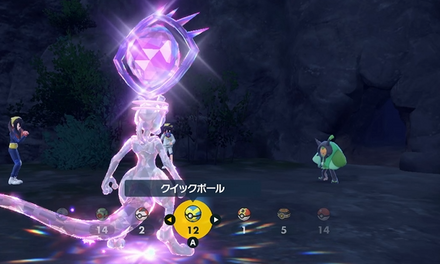 オーガポン厳選