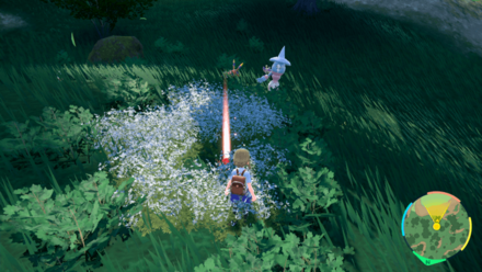 とこしえの森で拾う