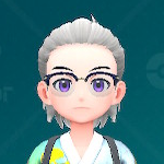 ブローグラス（ネイビー）画像