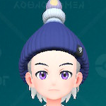 ボチビーニー（ネイビー）画像