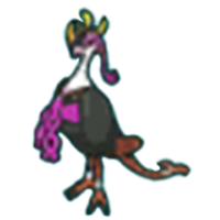 キチキギス画像