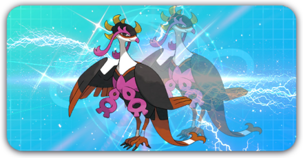 キチキギスの画像