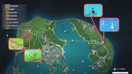 フォンテーヌ固有の鳥類